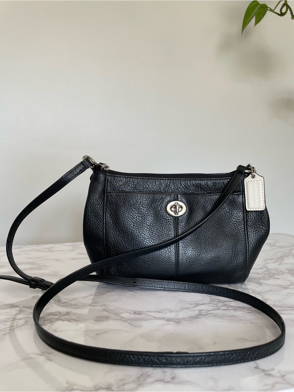 Coach Park Penelope Leather Hippie Crossbody